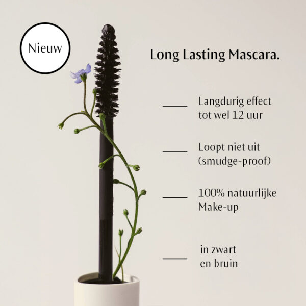 Dr.Hauschka Long Lasting Mascara Black 01 actie 10% korting - Afbeelding 2