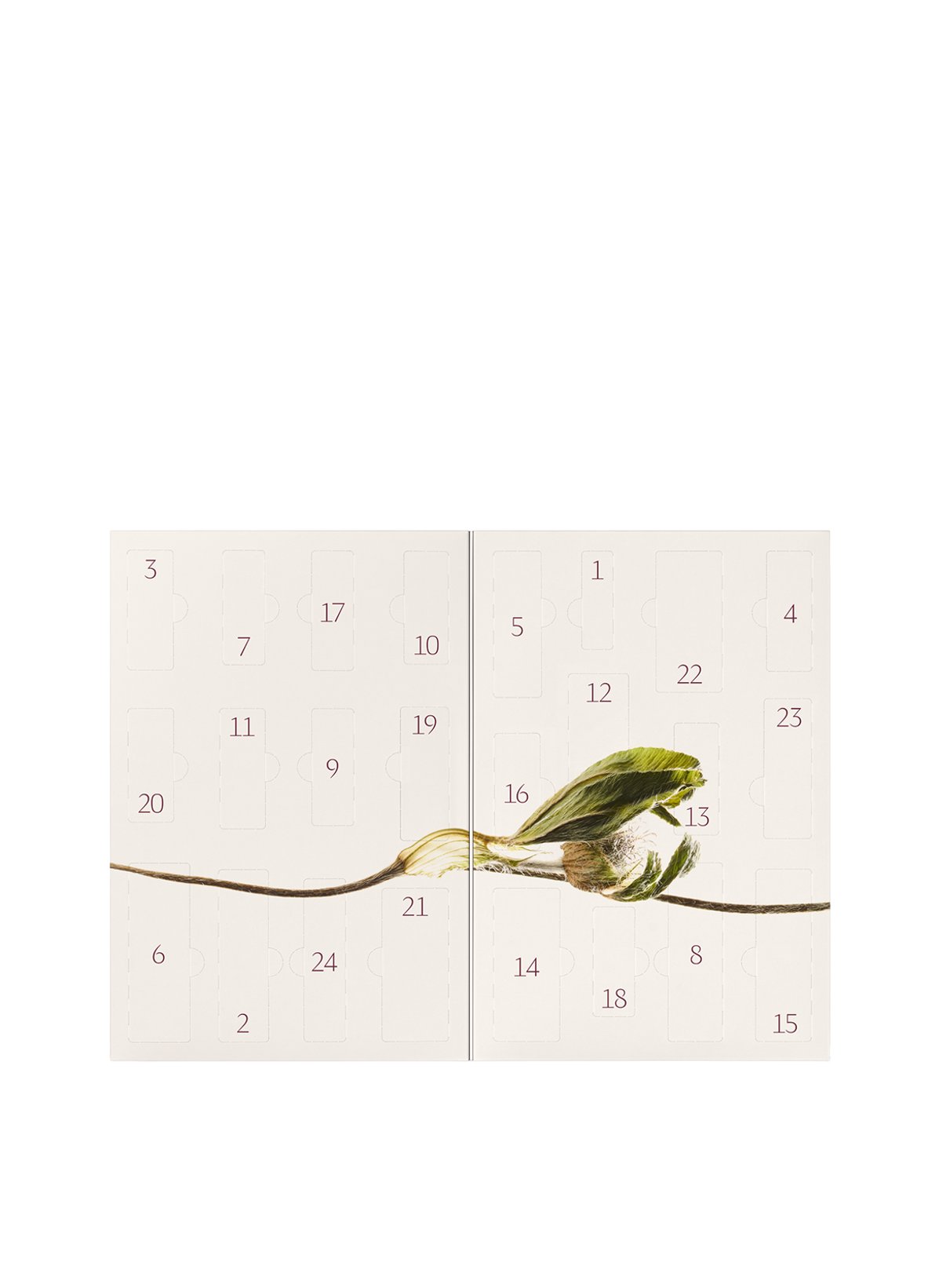 Dr.Hauschka Adventskalender 2026 Bliss met natuurlijke cosmetica - Afbeelding 2
