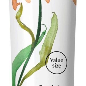 Dr.Hauschka Reinigingscreme 75 ml tube (limited edition)