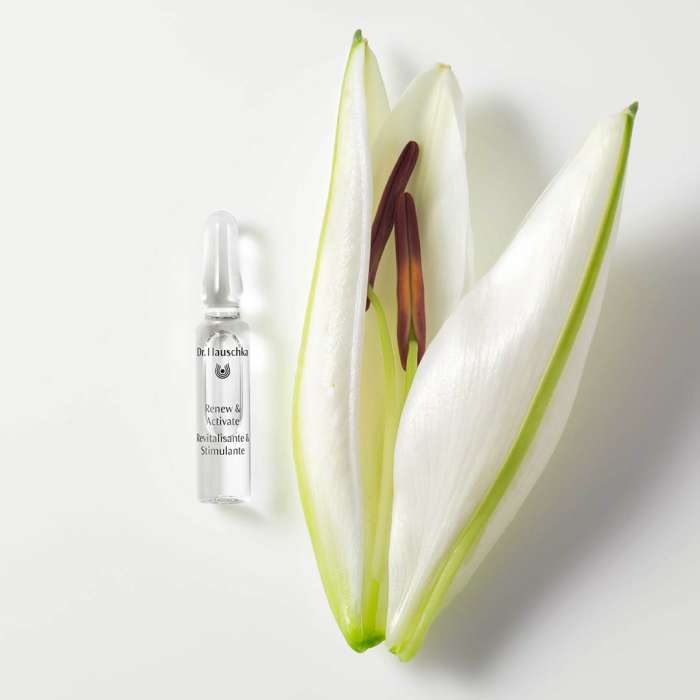 Dr.Hauschka Renew & Activate (Herstellende Nacht Conditioner) 28 x 2 ml ampullen actie 10% korting - Afbeelding 3